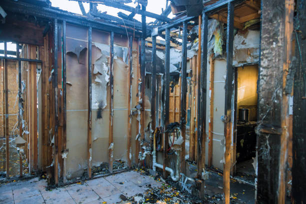 Professional Fire Damage Removal technician working in Dallesport, WA